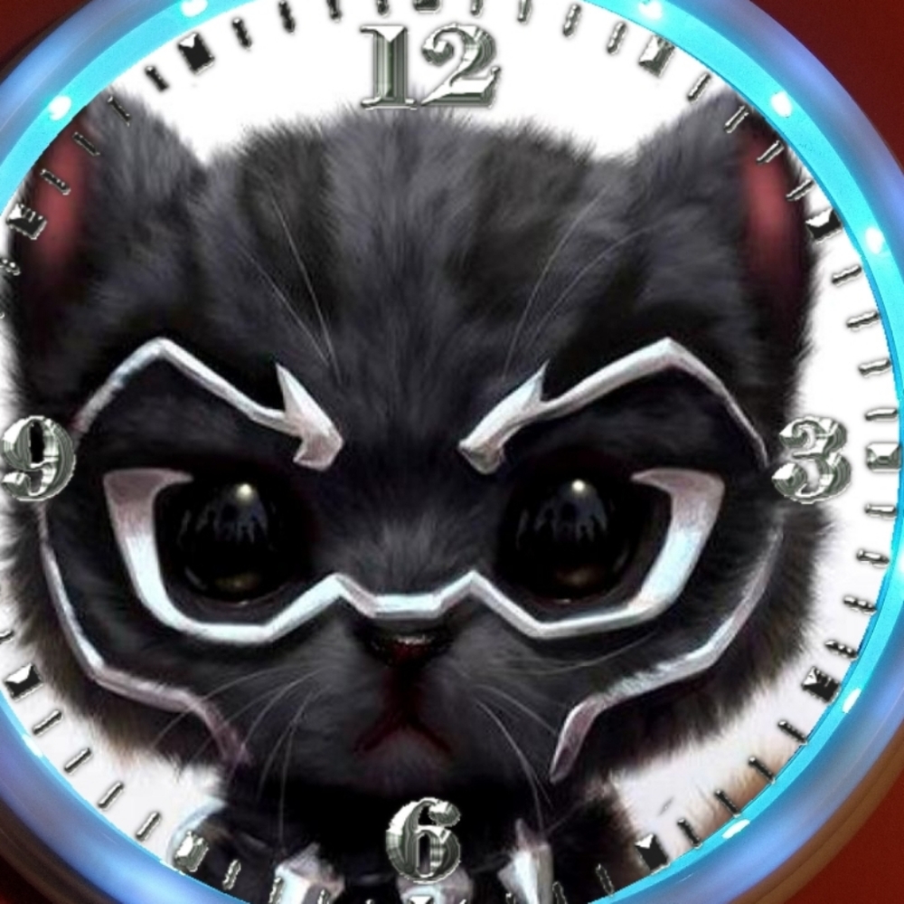 Bad kitty